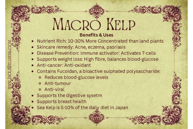 Canadian Kelp Harvesters Macro Kelp